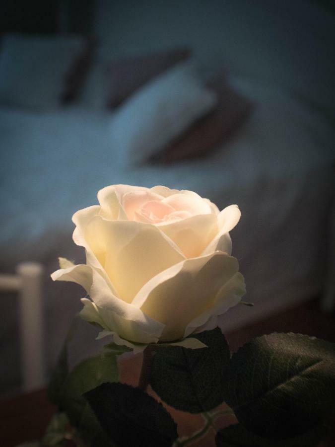 Feliz apartman Gyula Dış mekan fotoğraf